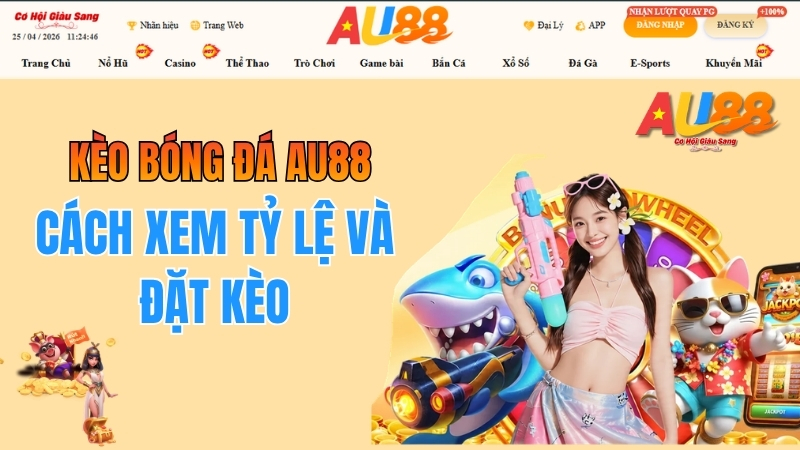 Kèo Bóng Đá AU88 – Cách Xem Tỷ Lệ Và Đặt Kèo