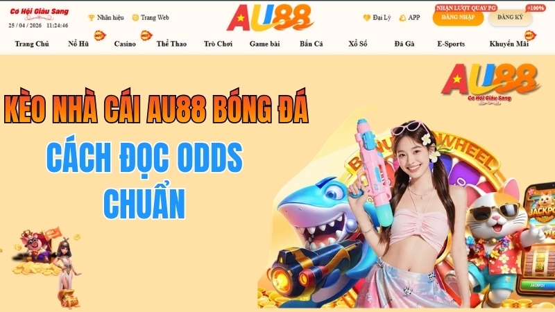 Kèo Nhà Cái AU88 Bóng Đá – Cách Đọc Odds Chuẩn